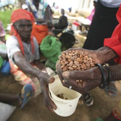 Hunger in Zimbabwe